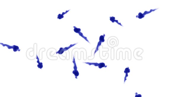 头顶拍摄的孤立的蓝色墨水在白色上形成一个圆圈蓝色油漆混合在水中并缓慢移动使用视频的预览图