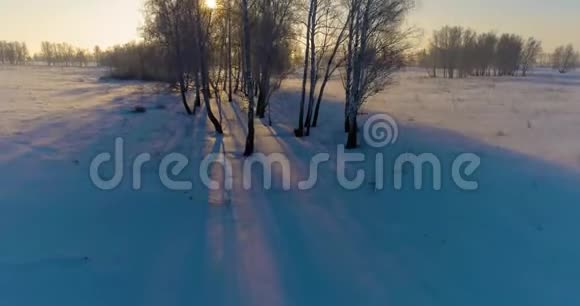 无人驾驶飞机观看寒冷的冬季景观北极的田野覆盖着霜雪的树木和清晨的阳光视频的预览图