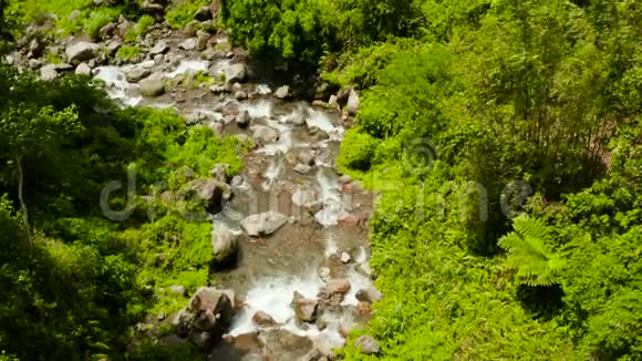 菲律宾雨林中的山河卡米吉因视频的预览图