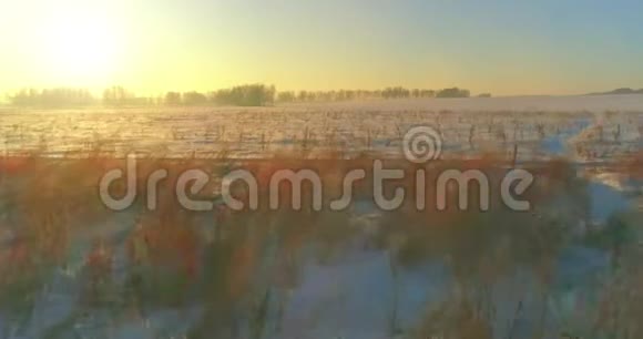 无人驾驶飞机观看寒冷的冬季景观北极的田野覆盖着霜雪的树木和清晨的阳光视频的预览图