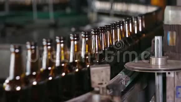 倒空啤酒玻璃瓶放在传送带上视频的预览图