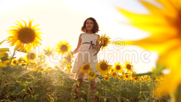 可爱的女孩在黄色的花园向日葵阳光在夏天美丽的日落小女孩向日葵慢慢慢慢视频的预览图