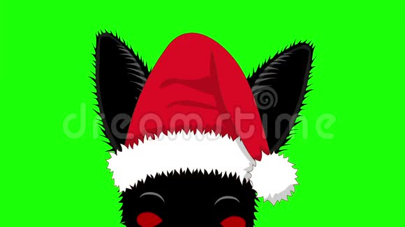 黑兔和圣诞帽偷吃圣诞贺卡视频的预览图