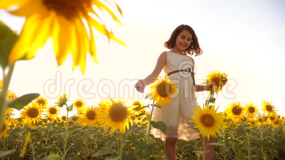 可爱的女孩在黄色的花园向日葵阳光在夏天美丽的日落小女孩的生活方式向日葵视频的预览图