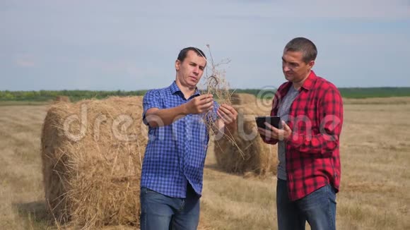 团队农业智慧农业理念两个男人生活方式农民工人在数字领域研究干草堆视频的预览图
