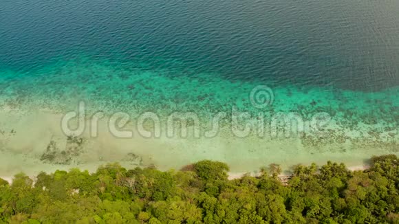 带椰子树和绿松石泻湖的景观视频的预览图