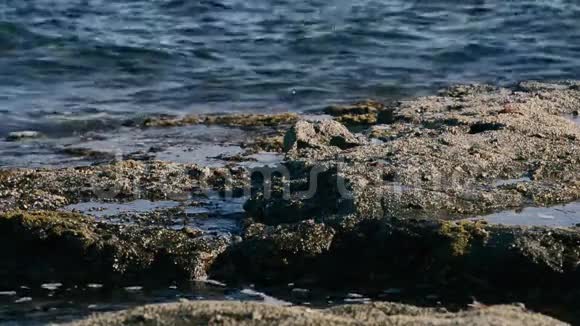 在昆士兰州国王海滩挥手视频的预览图