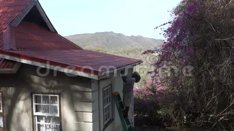 在加勒比海修理一所房子视频的预览图