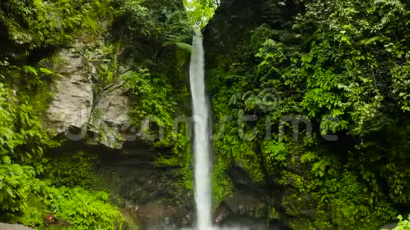 美丽的热带瀑布Camiguin菲律宾视频的预览图