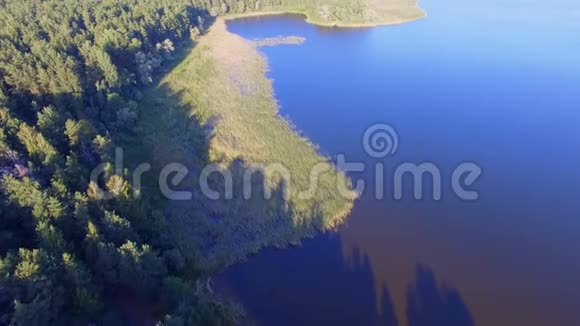 俄罗斯塞利格湖上岛上的海水森林和芦苇的鸟瞰图视频的预览图
