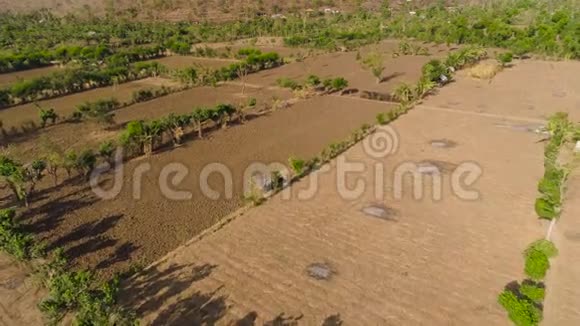 印度尼西亚的农业用地视频的预览图