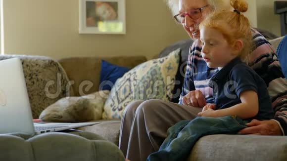 奶奶和孙子在客厅里用笔记本电脑视频的预览图
