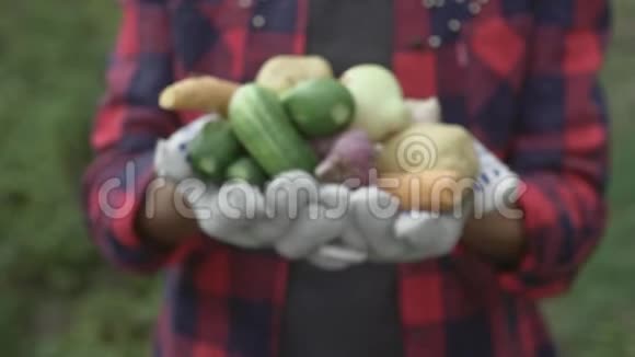 菜园里种菜的农家女孩收获时间家庭农场主有机食品的概念视频的预览图