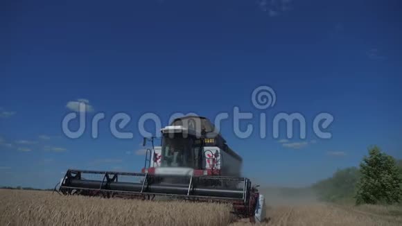 联合收割机收割小麦慢生活方式运动视频农业收获概念田间联合收割视频的预览图