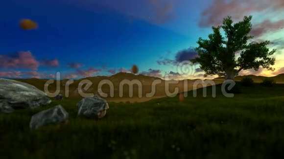 绿色草地上的生命之树早晨的阴霾视频的预览图