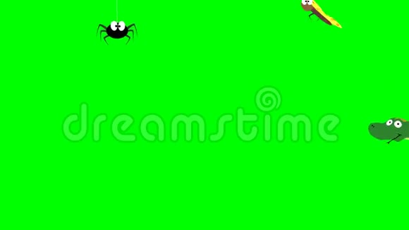 可爱的昆虫绿色屏幕上的蜘蛛蝴蝶蜗牛蛇瓢虫和池塘溜冰者视频的预览图
