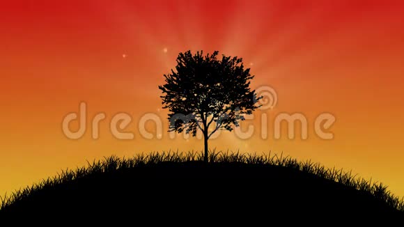 日落时的魔法树视频的预览图