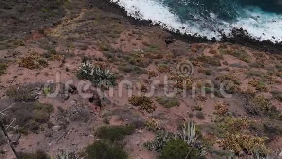 鸟瞰西班牙火山海岸特内里费视频的预览图