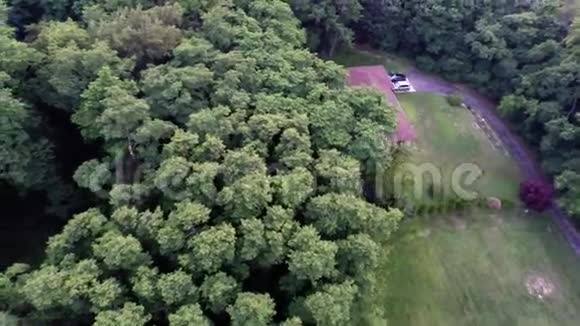 空中飞机飞行时从高空俯瞰绿色森林树梢视频的预览图