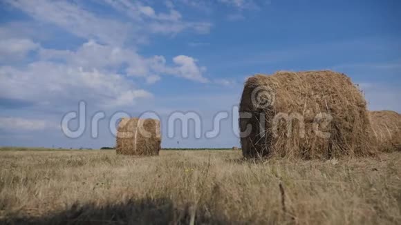 农业生活方式农耕概念慢动作视频在美丽的蓝色多云天空下麦田上的干草堆视频的预览图