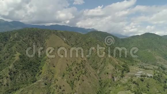 山上的水稻梯田视频的预览图