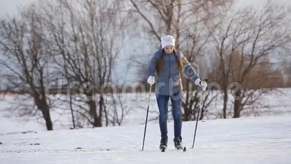 野外越野滑雪视频的预览图