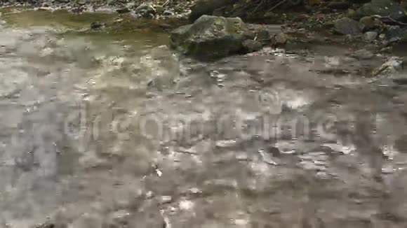 流动的河流视频的预览图