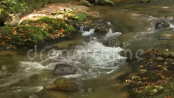 流动的河流视频的预览图