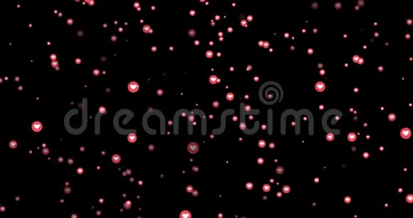 动画现代的粉色圆圈图标运动背景视频的预览图