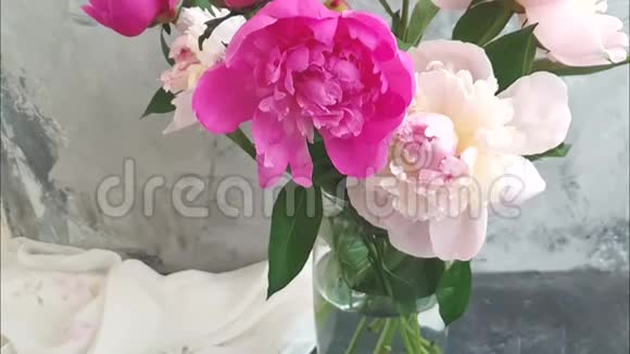 美丽的天然花朵牡丹夏装饰花瓶生日灰色混凝土视频的预览图