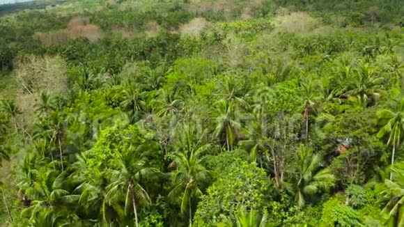热带雨林景观菲律宾Camiguin视频的预览图