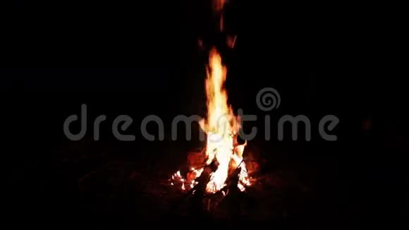 森林里的篝火之夜还有炽热的煤视频的预览图