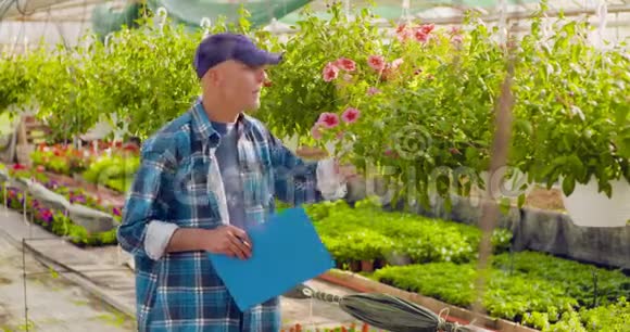自信的男花匠检查盆栽植物视频的预览图