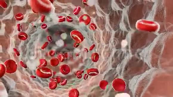 动脉内真实的血细胞在血流中移动的红细胞视频的预览图