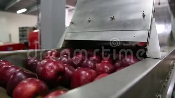 排序线以校准苹果分拣线的工作红苹果红辣椒视频的预览图