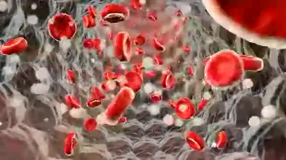在血流中移动的红细胞动脉内的真实血细胞视频的预览图