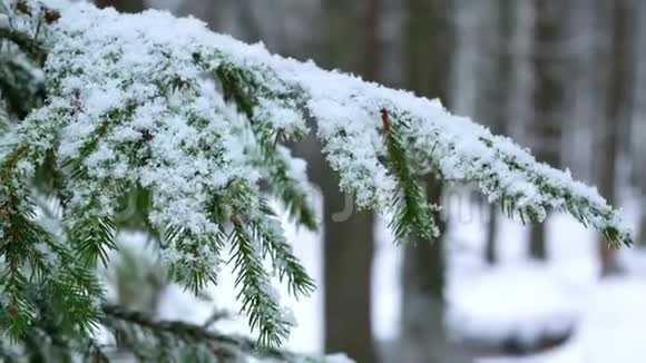 冬天下雪视频的预览图