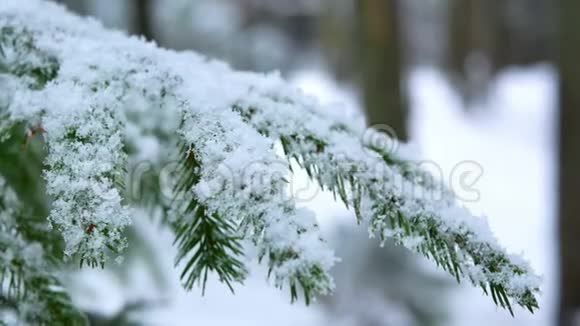 冬天下雪视频的预览图