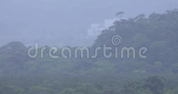 大岛阿姆米红树林雨天视频的预览图