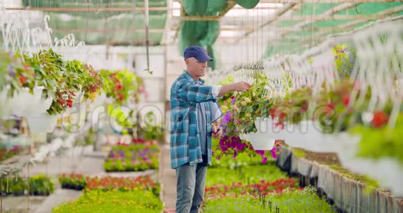 自信的男花匠检查盆栽植物视频的预览图