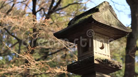 东京赤川神社传统寺庙视频的预览图