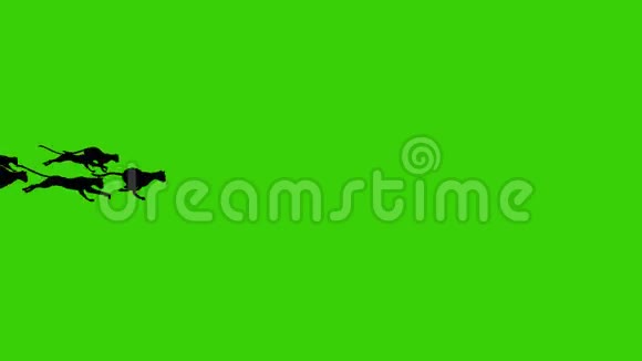 绿色屏幕背景下一大群黑色猫的卡通动画视频的预览图