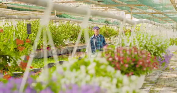 自信的男花匠检查盆栽植物视频的预览图