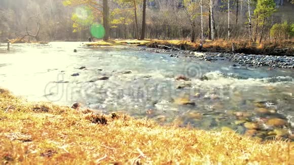 多利滑块拍摄了在森林附近的一条山河里飞溅的水潮湿的岩石和阳光水平稳定视频的预览图