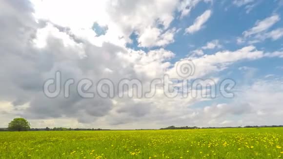 绿色的田野和多云的天空时间美丽的夏日风景视频的预览图