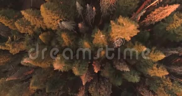 飞越红杉国家公园无人驾驶4K2017年11月视频的预览图
