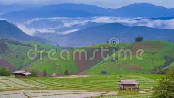 时间流逝的云雾飘浮在泰国的稻田里视频的预览图