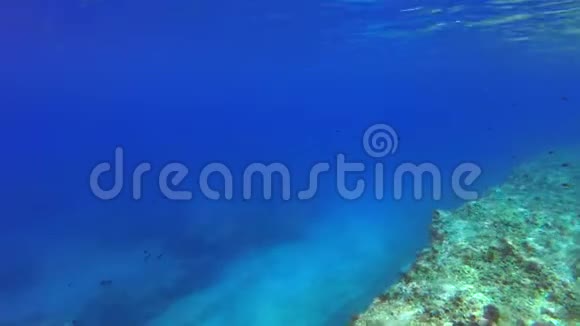 深蓝清澈的海洋视频的预览图