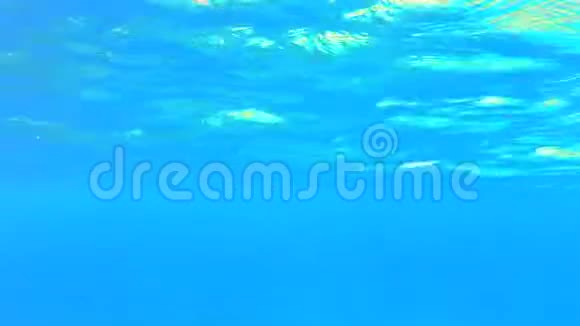 深蓝清澈的海洋视频的预览图