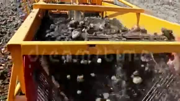 田里的马铃薯收割机视频的预览图